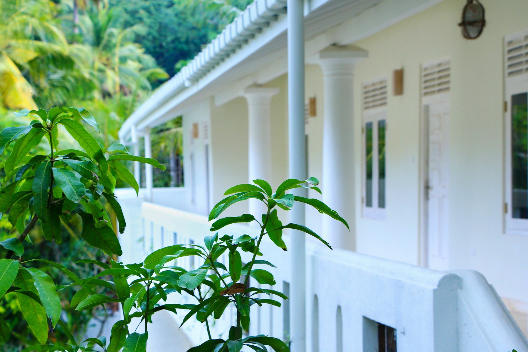 Epic Unawatuna Hotel Exterior foto